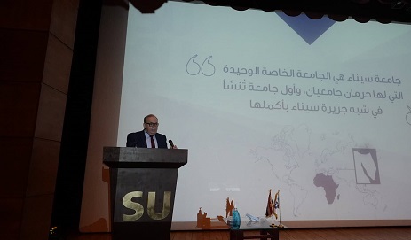 جامعة سيناء